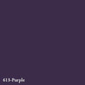 Jacquard Acid Dye-Purple